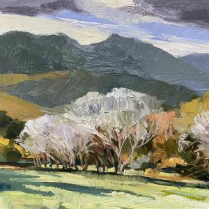 Winter Trees