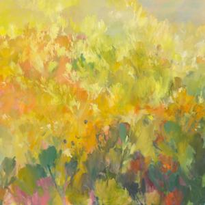 Colour Field