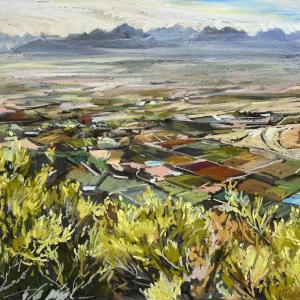 Morning Valley
