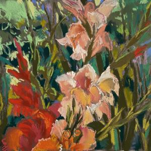 Paris Gladioli